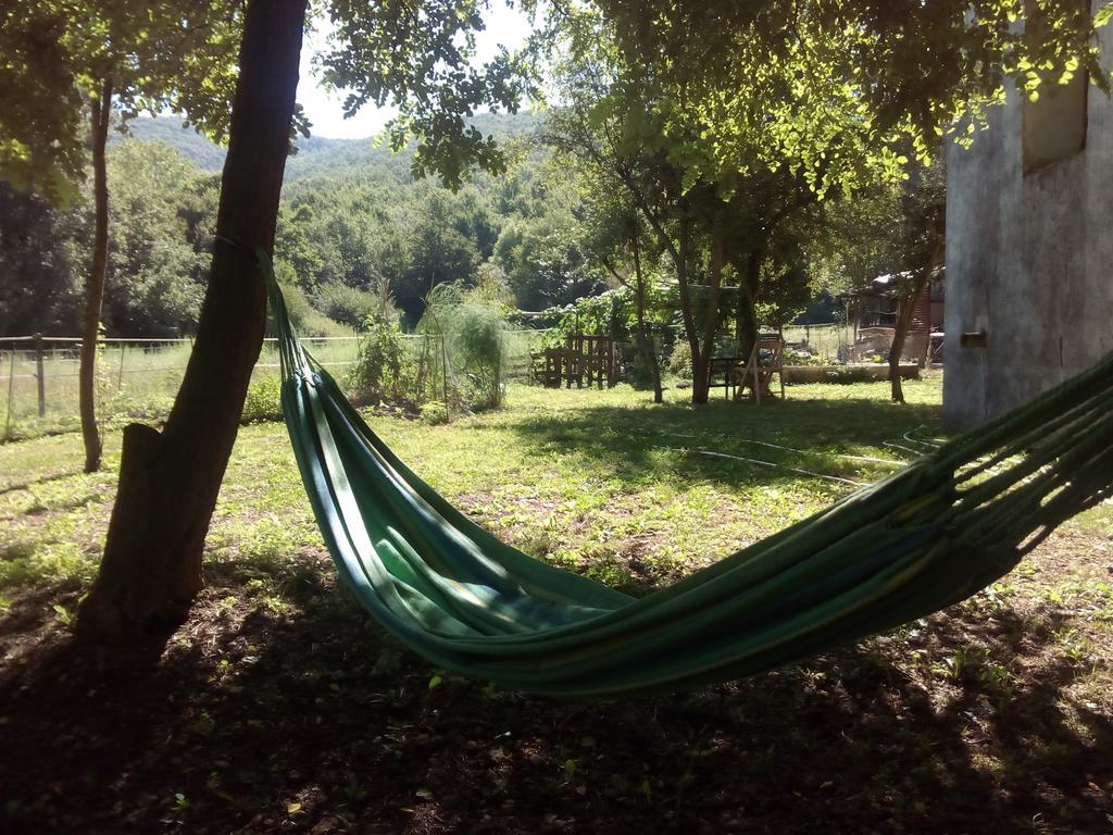 Apartmán Ca La Iaia Veva Sant Joan les Fonts Exteriér fotografie